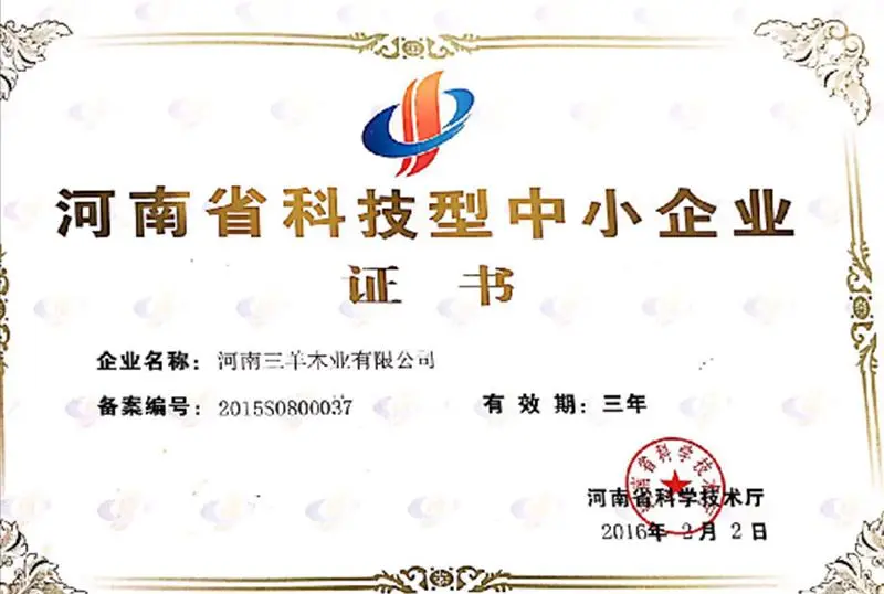 Henan Province Science and Technology Small and Medium Sized Enterprise Certificate