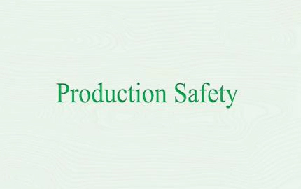 Henan Sanyang Wood Industry Co., Ltd. Production Safety