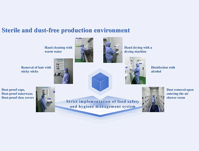 Sterile and Dust-Free Production Environment